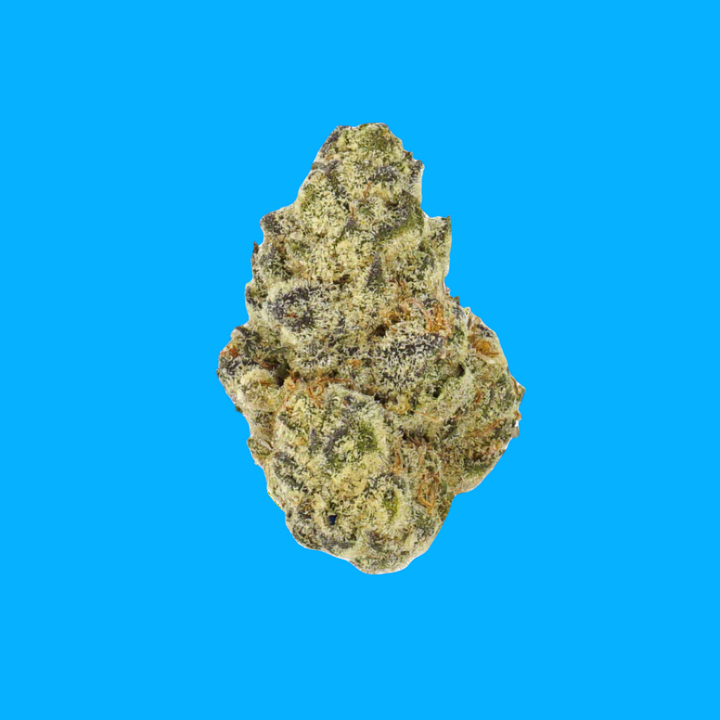 Twenty One - Indica - Blue Cheese (PRICE PER GRAM)