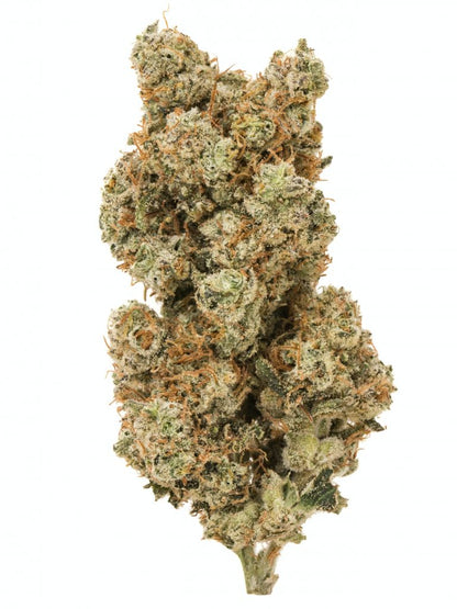 Medic 8 White Widow Sativa